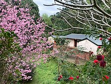 🤩🌟專任北埔古厝三合院建+農