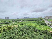德賢商圈｜名流天廈｜大４房｜萬坪公園美景