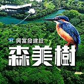 (預售)森美樹高樓層樹海二房平車