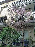 龍潭區石門水庫(近石門山)電梯獨棟泳池大別墅