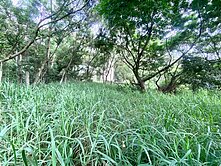 近鰲峰山運動公園都計內持分農地