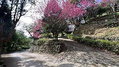 芎林~鍾靈毓秀景觀百果莊園+鋼構休閒屋