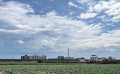 銓推✨行情內善化方正一般農