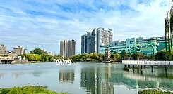 東區森林公園一號輕屋齡／精裝三房+平面車位