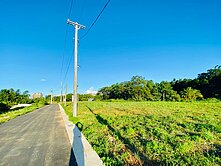 南勢農地/有水.電.排溝/臨路/都計農 