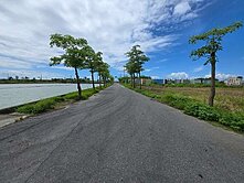 (專約)台南七股三聖段☆臨路稀有 農地【A】