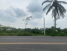 新市