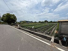 降!)彰化田尾置產首選農地