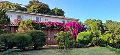 佛光山佛陀紀念館首排景觀極美歐風綠茵大莊園