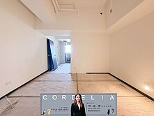 波爾多頂客層峰景觀宅平車 🐶新店琪琪