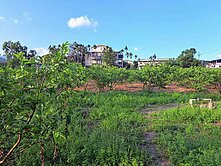 北0301156員山枕山綠境送果樹漂亮果園農地