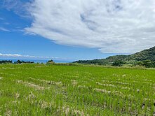台東長濱大地坪觀山觀海農地