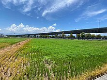 北0238432羅東高速公路旁20米大面寬足坪農地