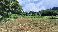 三義20米路台水台電方正農地