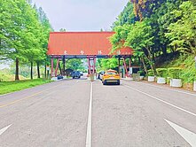 🌳東勢1230坪｜低總價大地坪景觀地🌳