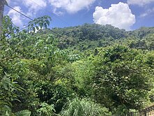 新竹橫山多生態山坡地