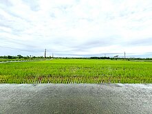 鹿草雙面路方正農地B