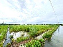 鹿草雙面路方正農地A