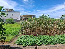 北0276279近頭城交流道大路邊大面寬農地