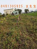 $A旺$橋頭新市鎮投資首選