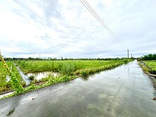 鹿草雙面路方正農地D