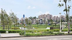 大寮室內大坪數三+1房2衛(免整理)