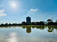 小姍美地❤️【楊梅四湖】置產首選~美農地