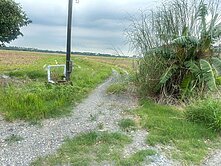屏東萬丹臨路大面寬方正美農地