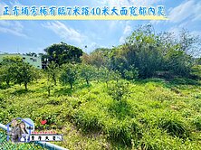 緹A案🌈稀有正青埔旁40米大面寬都內農🌈