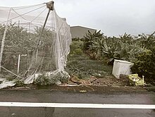 高雄市岡山區華崗段嘉華產業園區方正農地