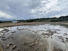 大溪交流道66旁 大坪數農地 可拆買