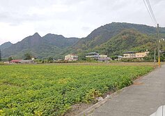 高雄市美濃區｜實用持分農地