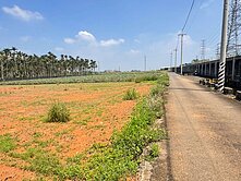 中正大學休閒小農地