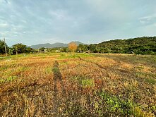 非賣不可獨家近淡水市區臨路平坦農地1.58萬/坪近