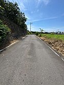 153大園低總價一般農