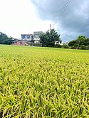 101 竹科三期徵收地 