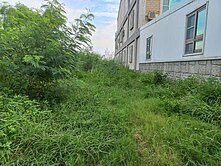 口湖民生路養殖22坪乙建52坪【後甲O010】