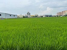 !降近200萬!自強美田ℍ阿杰ℍ