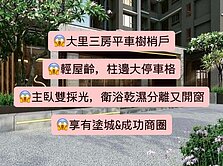 🔪再砍70萬🔪大里🔥自由自宅三房平車樹梢戶