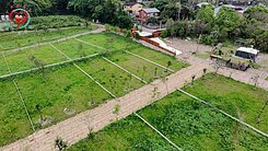 大溪落雨松莊園農地