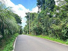 專任-大山背視野臨路美地