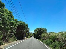 觀音近中山路旁農地[特]4254