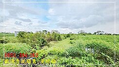 近竹橋國小休閒農地0931384262