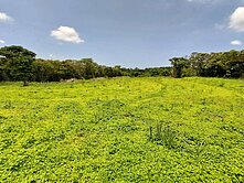 😎獨家-任選168至2850坪大小的開心農場🩵