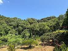 萬坪農林美地⎮農業設施✖︎觀光經營💎安安推薦