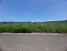 近台61方正一般農業用地