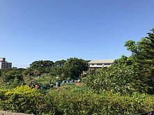 大園福海段30米路安置街廓建地