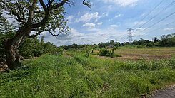 (專約)關廟☆國道旁稀有大面寬漂亮農地