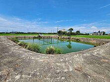 新屋區近永安國小三面臨路農地