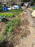 龍潭中科院旁~農地